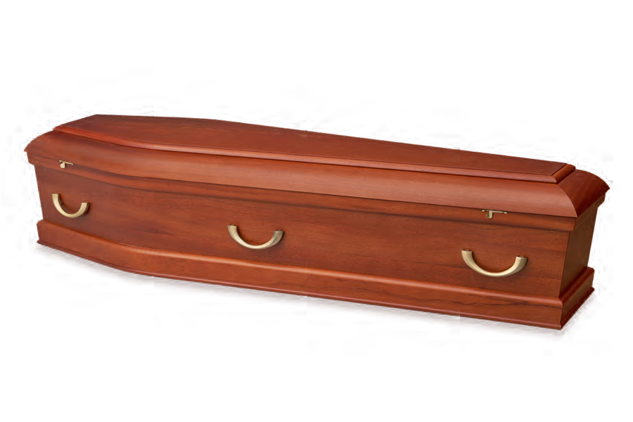 <h2>Davidson Sapele</h2><span>SOLID TIMBER COFFIN</span>
