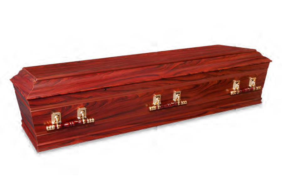 <h2>Devon</h2><span>SOLID TIMBER COFFIN</span>