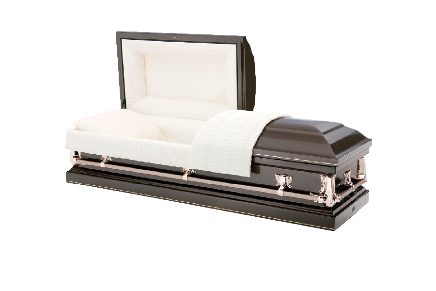 <h2>New Pointe Spectra Brown</h2><span>SOLID TIMBER COFFIN</span>